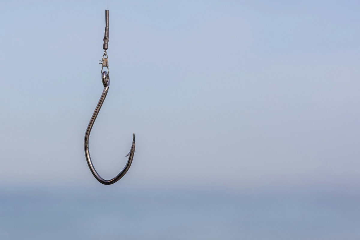 Professional phishing - personal experience
