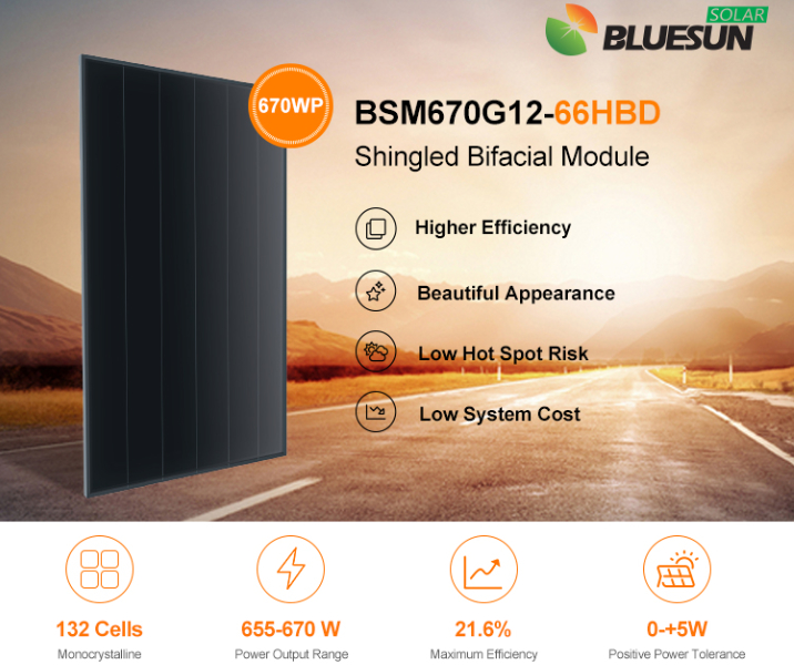 BlueSunSolarmodule